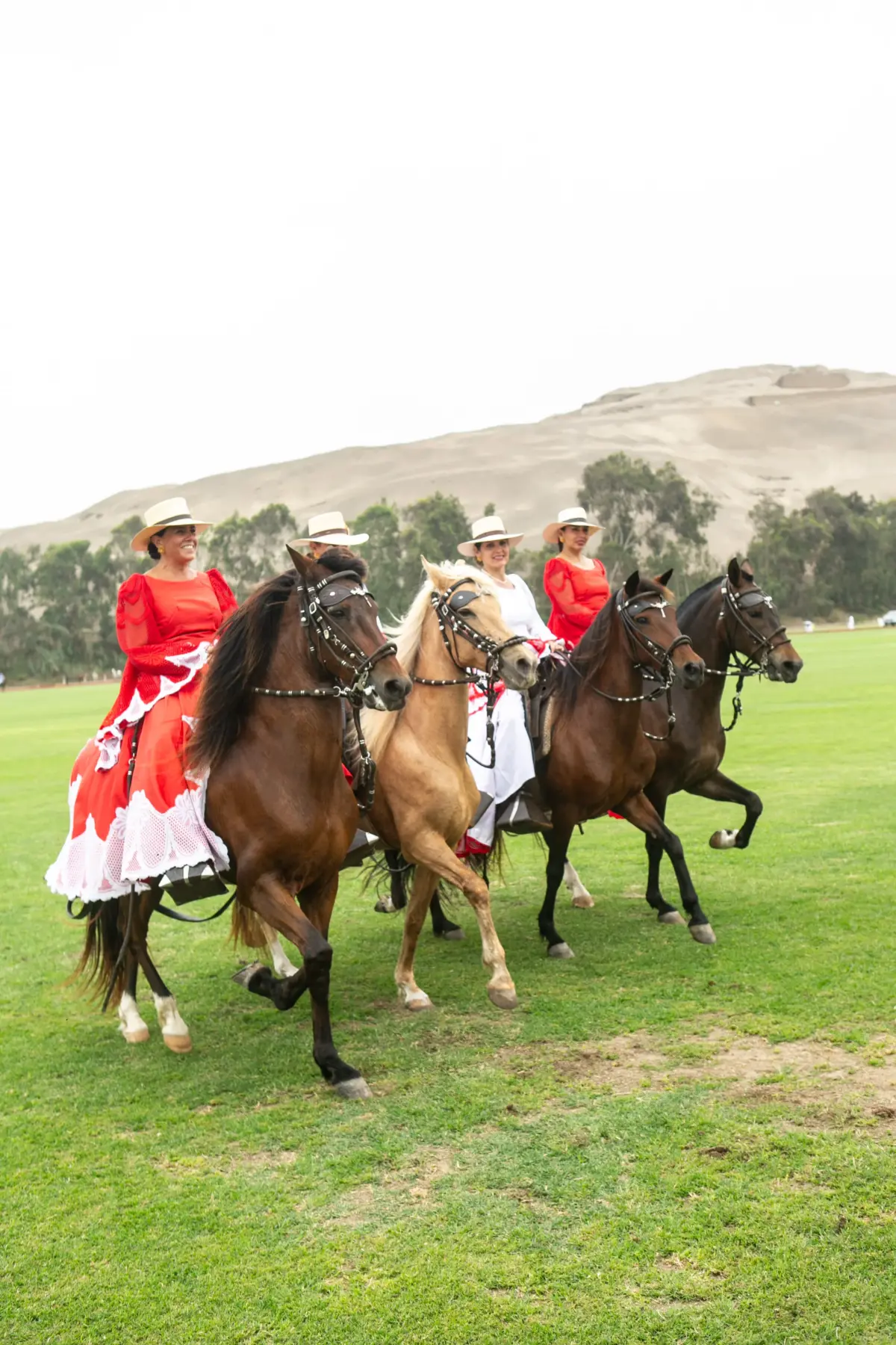 Argentina y Perú se enfrentaron en Lima por las eliminatorias al Mundial de Polo 2027 Argentina y Perú se enfrentaron en Lima por las eliminatorias al Mundial de Polo 2027