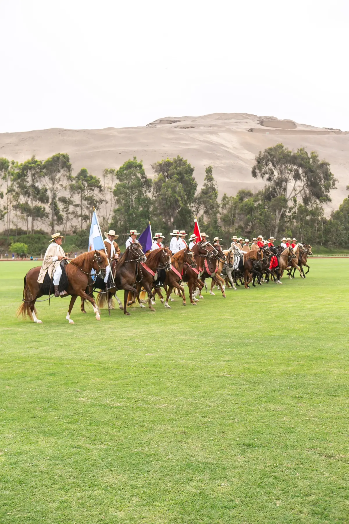 Argentina y Perú se enfrentaron en Lima por las eliminatorias al Mundial de Polo 2027 Argentina y Perú se enfrentaron en Lima por las eliminatorias al Mundial de Polo 2027