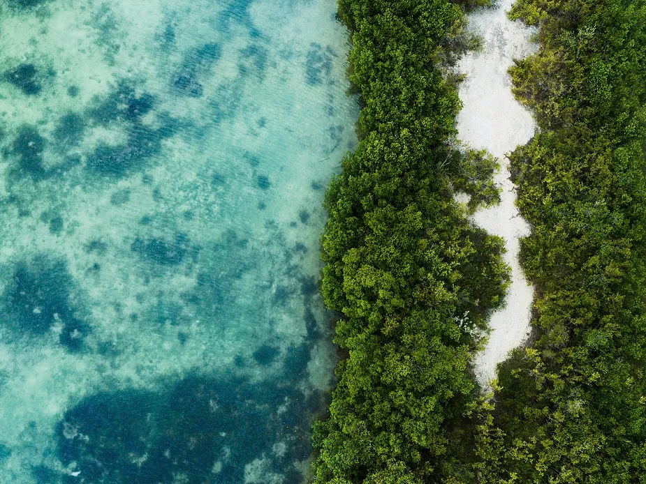 Hoteles frente al estrés hídrico: acciones para reducir el consumo de agua
