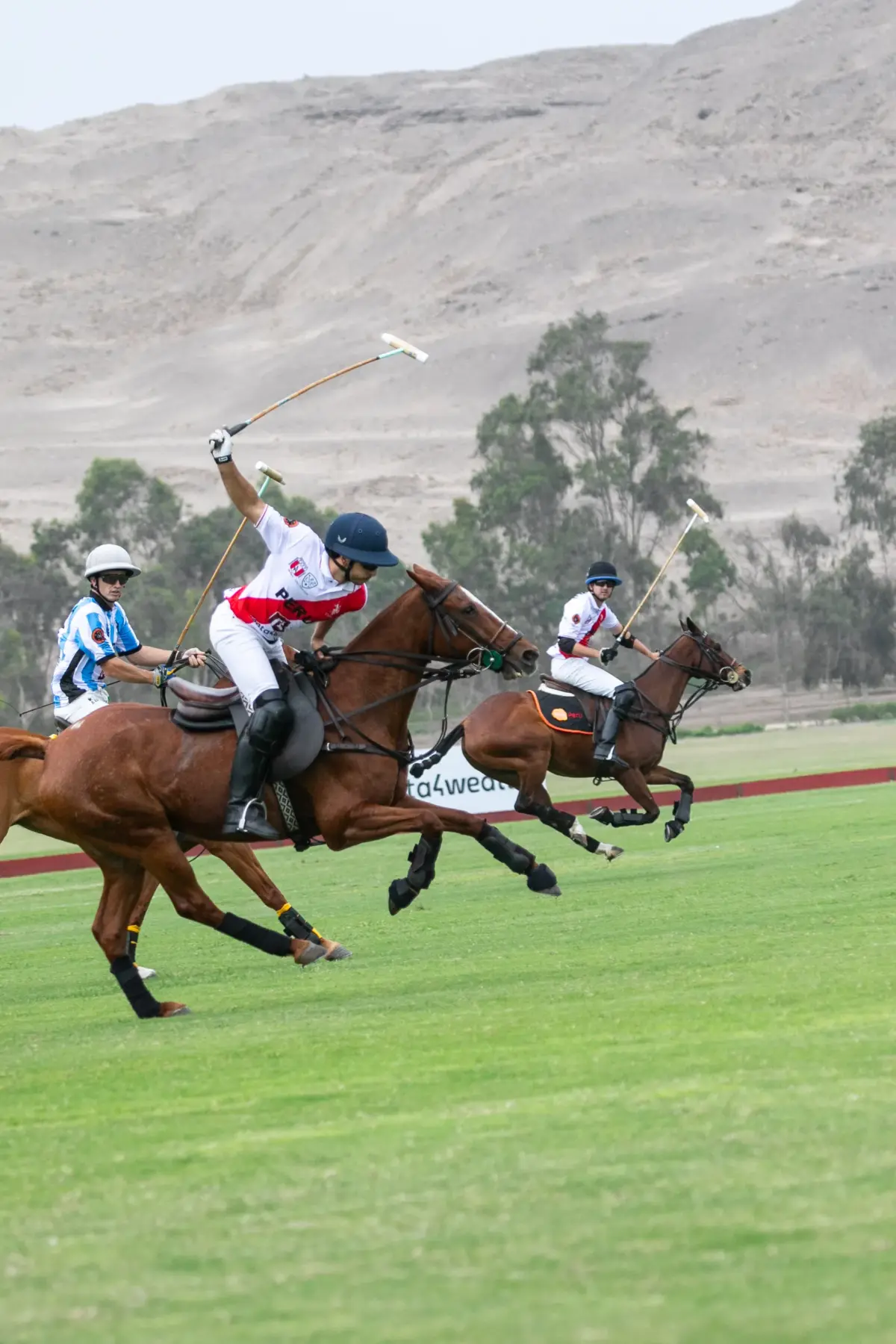 Argentina y Perú se enfrentaron en Lima por las eliminatorias al Mundial de Polo 2027 Argentina y Perú se enfrentaron en Lima por las eliminatorias al Mundial de Polo 2027