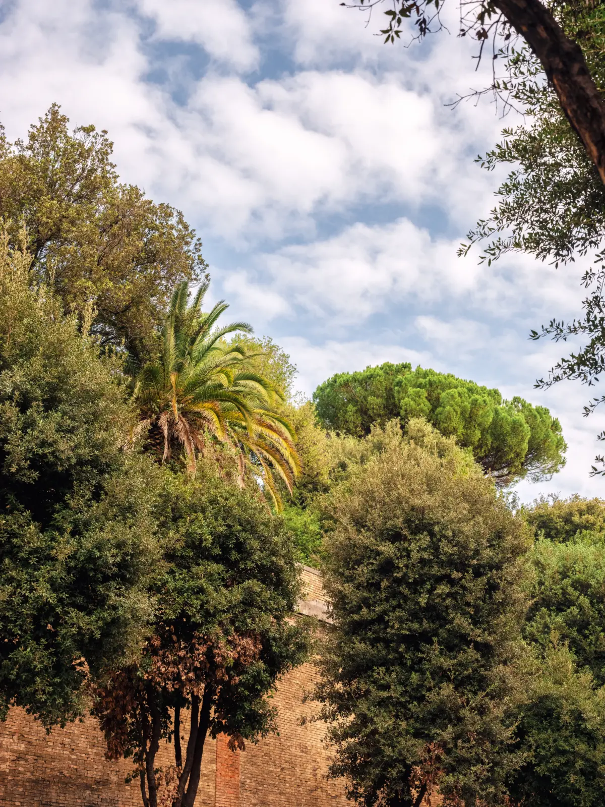 EXPERIMENTAL tiene el placer de anunciar la apertura de EXPERIMENTAL ROMA