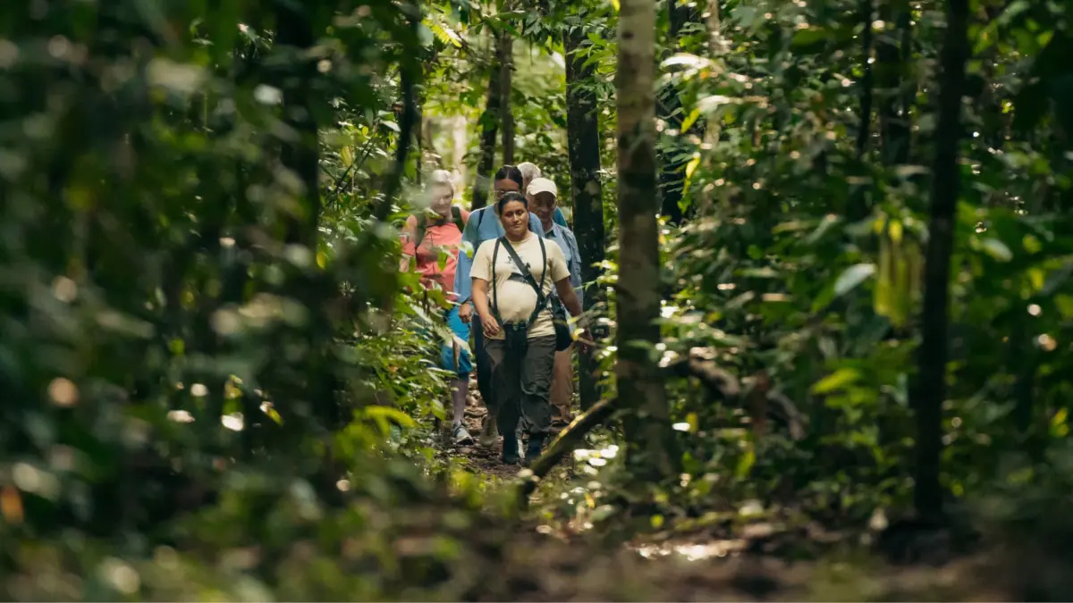 Kuaii Amazonas: donde el bosque te recibe antes de llegar en la Amazonía Peruana