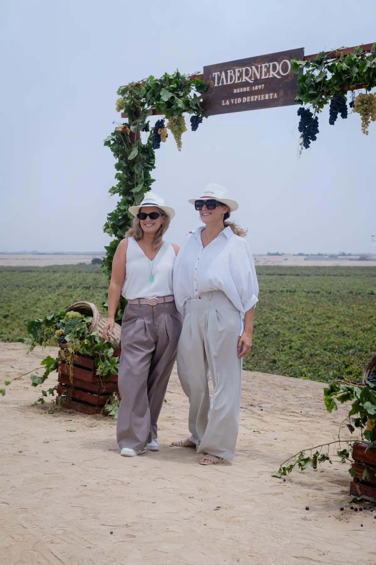 Entre viñedos y copas: así se vivió la Vendimia Tabernero 2026 en Chincha Entre viñedos y copas: así se vivió la Vendimia Tabernero 2026 en Chincha