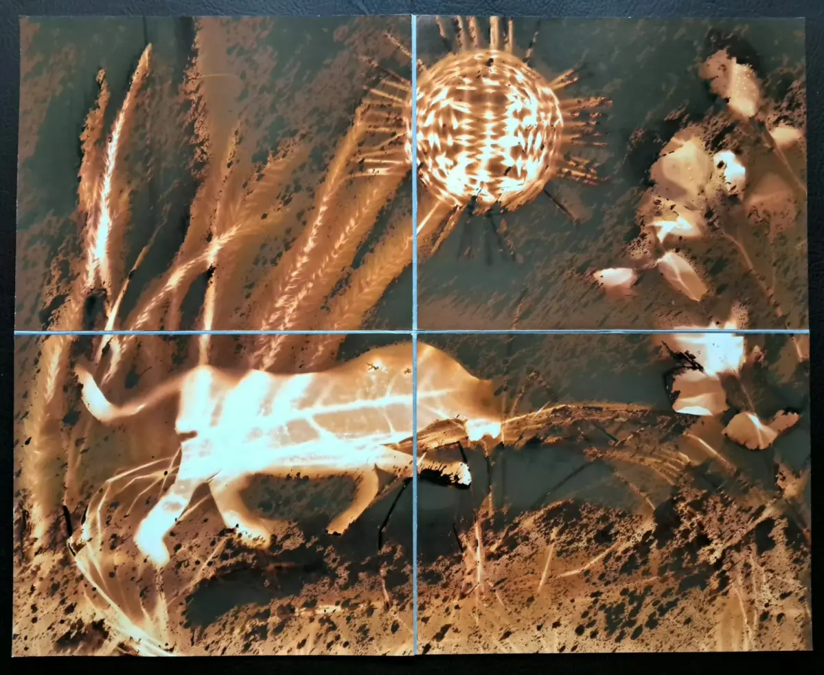 «Jugar como monos»: la fotografía experimental y el arte digital dialogan en la quinta edición de VIDEOAKT