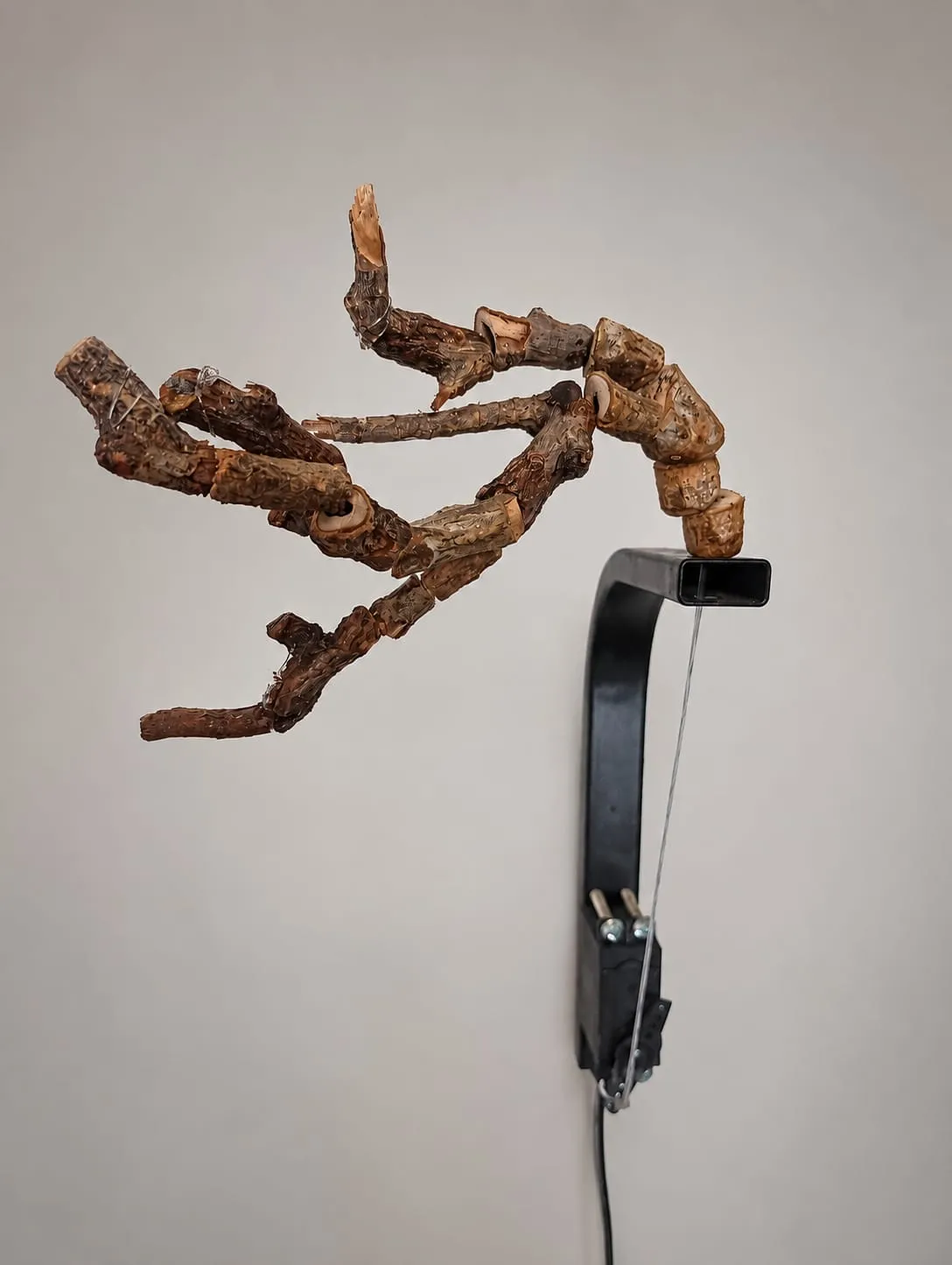 «Jugar como monos»: la fotografía experimental y el arte digital dialogan en la quinta edición de VIDEOAKT «Jugar como monos»: la fotografía experimental y el arte digital dialogan en la quinta edición de VIDEOAKT