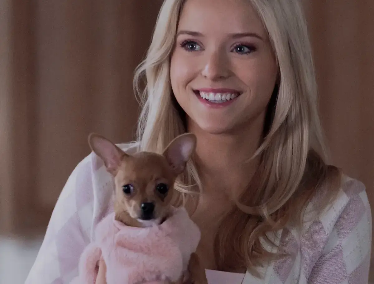 Elle Woods regresa a la pantalla con una serie que explora sus años antes de Harvard